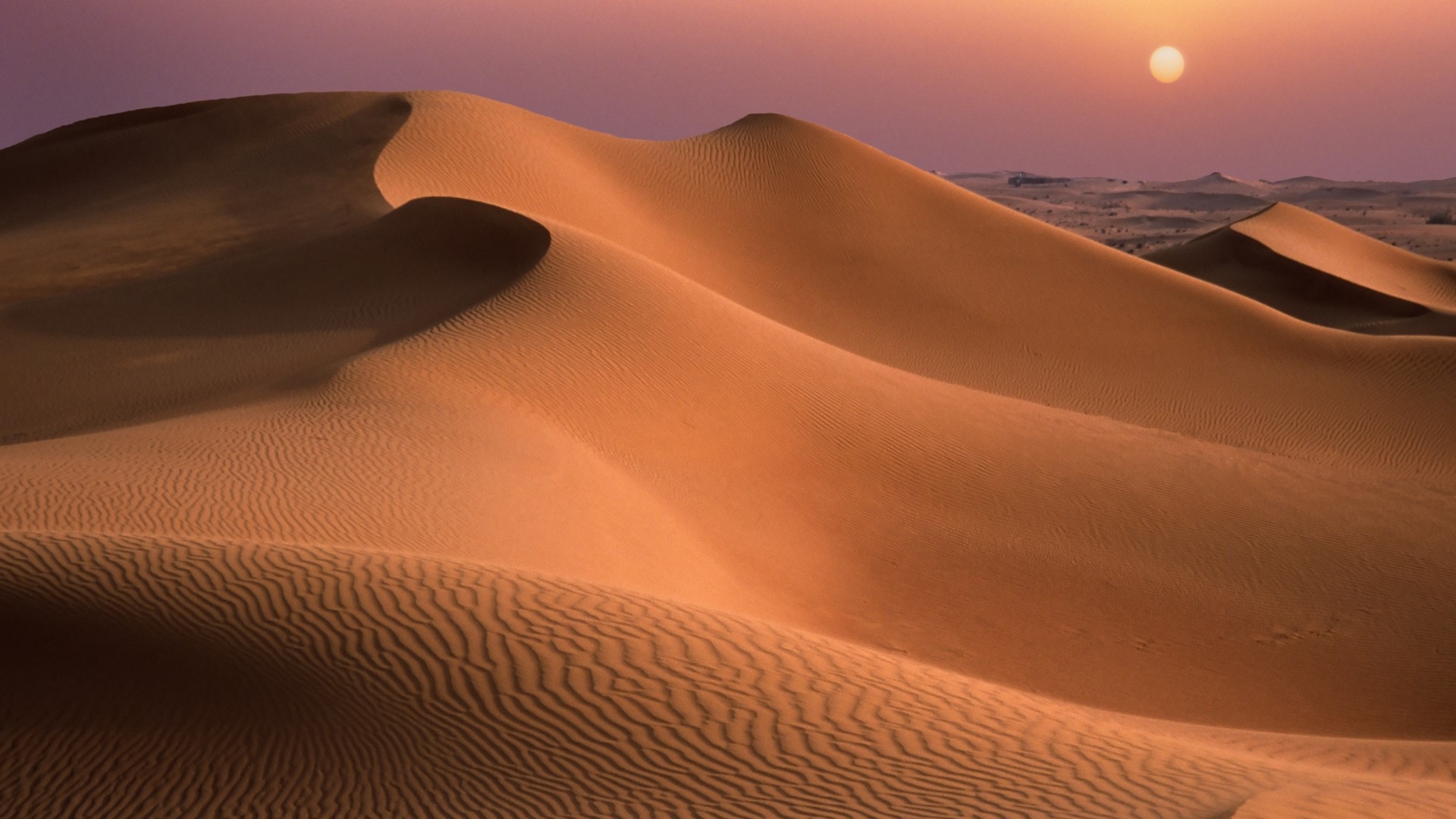 新固定ページ作成（テンプレート）