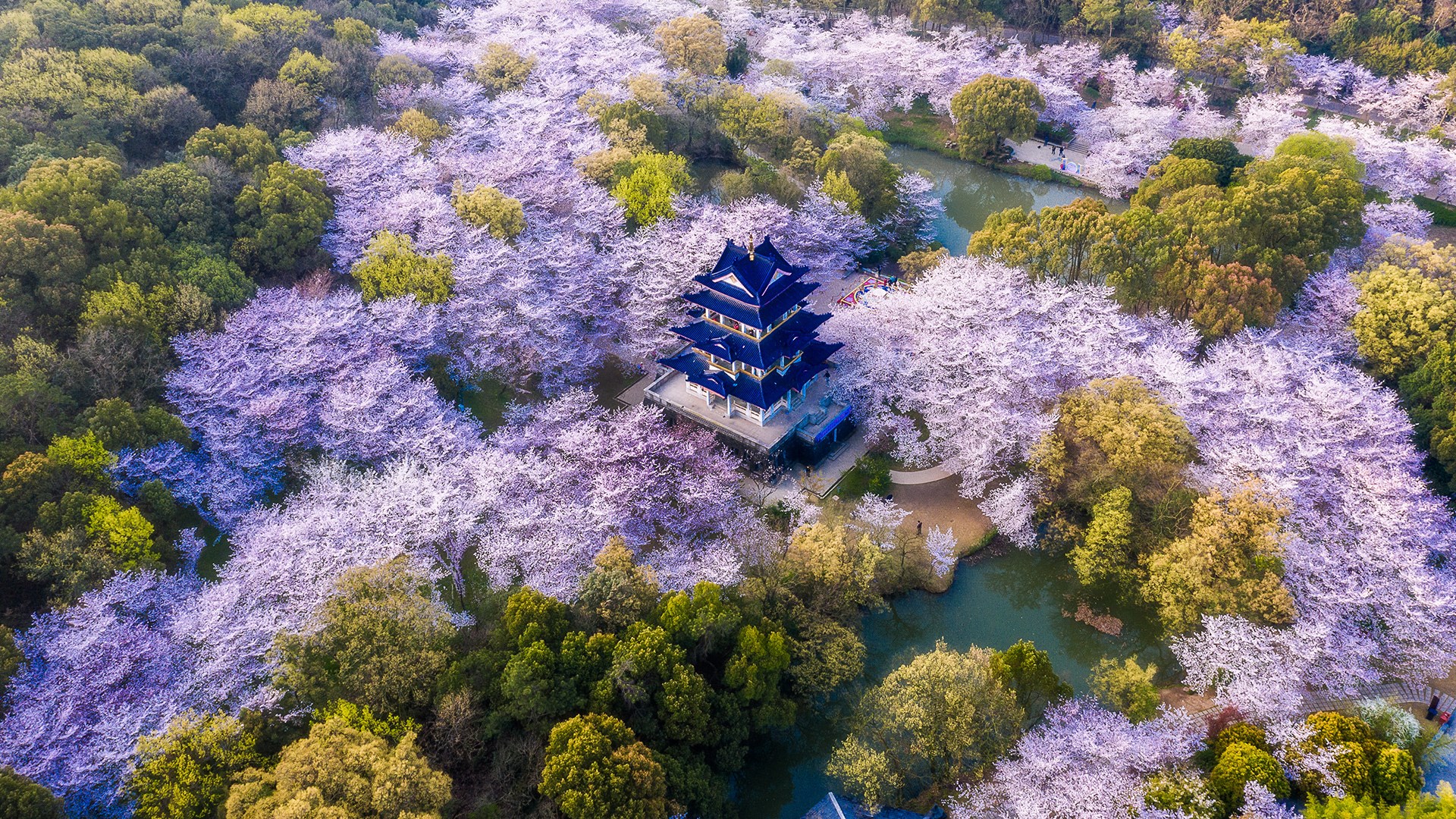 ブログ作成動画2026.1月